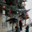 Природоохранная акция - Управление образования