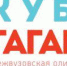 Итоги Открытой межвузовской олимпиады школьников 9-11 классов на Кубок имени Ю.А. Гагарина - Управление образования