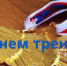 С днем тренера! - Управление образования