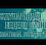 Стань онлайн-участником Международной недели бизнеса, которая пройдет с 8 по 11 декабря. - Благовещенский район