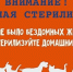 ГБУ Благовещенская райгорветстанция продлевает акцию на льготной стерилизации и кастрации собак и кошек - Благовещенский район