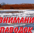 Осторожно паводок! - Благовещенский район