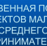 Имущественная поддержка малого и среднего предпринимательства, самозанятых граждан на территории Республики Башкортостан - Благовещенский район