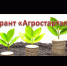 СТАРТУЕТ ПРОГРАММА «АГРОСТАРТАП» - Благовещенский район