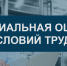 Спецоценка условий труда (Часть 4) - Благовещенский район