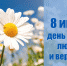 Поздравление жителей Благовещенского района с Днём семьи, любви и верности! - Благовещенский район