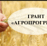 Объявление о продлении срока приема документов на участие в конкурсном отборе по предоставлению грантов «Агропрогресс» - Благовещенский район