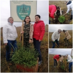 Зеленая Башкирия