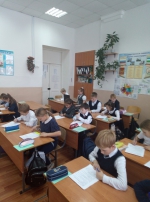 Инстаёжики