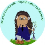 Инстаёжики