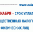 1 декабря истекает срок для своевременной оплаты имущественных налогов физическими лицами за 2020 год - Благовещенский район