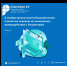 В ноябре органы власти Башкортостана полностью перешли на электронное взаимодействие с Росреестром - Благовещенский район