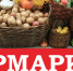 Сельскохозяйственные ярмарки продолжаются!⁣ - Благовещенский район