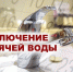 ООО «БашРТС»: зачем отключать горячую воду летом - Благовещенский район