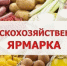 В Благовещенске продолжаются сельскохозяйственные ярмарки. - Благовещенский район