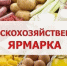 В Благовещенске состоится сельскохозяйственная ярмарка с участием соседних районов! - Благовещенский район