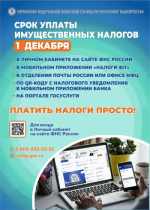 1 декабря - срок уплаты имущественных налогов физических лиц.