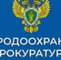 Об изменениях законодательства о рыболовстве и сохранении водных биологических ресурсов, а также об ответственности за нарушение правил, регламентирующих рыболовство - Благовещенский район