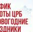 Благовещенская больница: как получить медицинскую помощь в новогодние каникулы! - Благовещенский район
