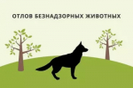На территории Благовещенского района определена подрядная организация по отлову и содержанию безнадзорных животных
