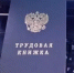 В России появится новый индикатор риска подмены трудовых отношений с самозанятыми - Благовещенский район