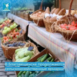 В Благовещенске продолжаются сельскохозяйственные ярмарки.